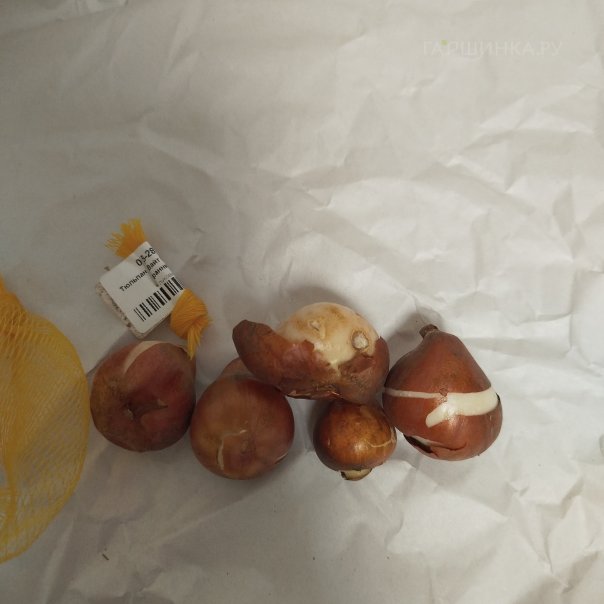 превью изображения отзыва