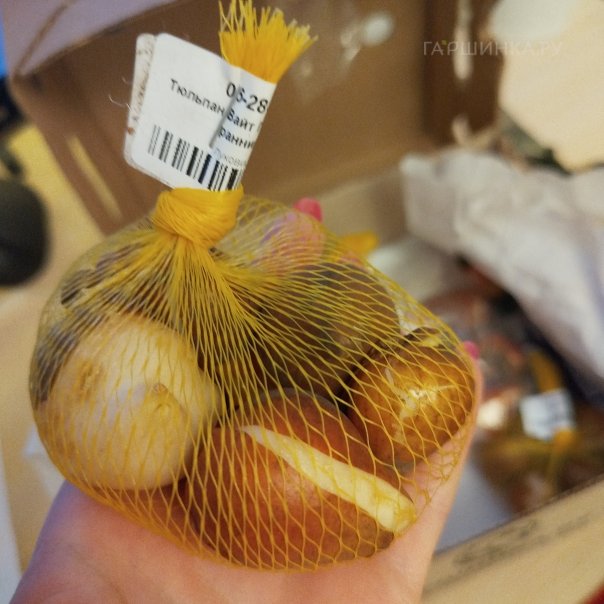 превью изображения отзыва