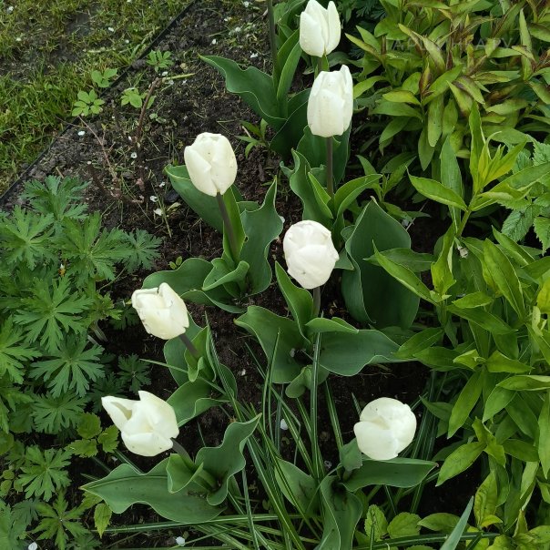 превью изображения отзыва