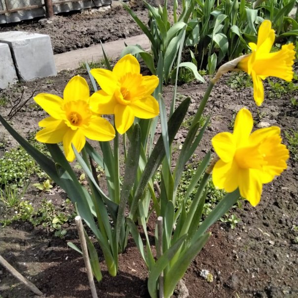 превью изображения отзыва