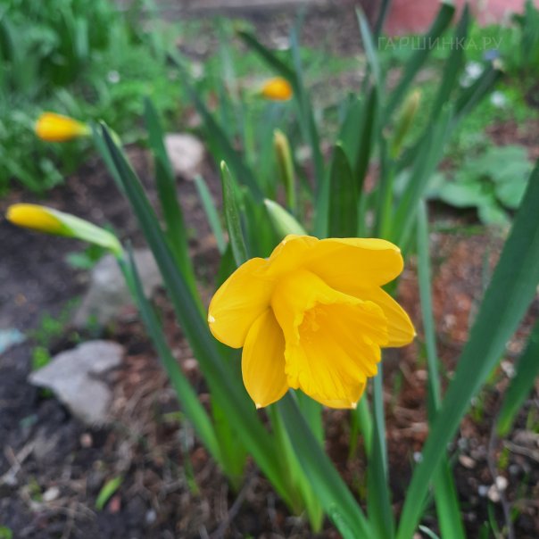 превью изображения отзыва