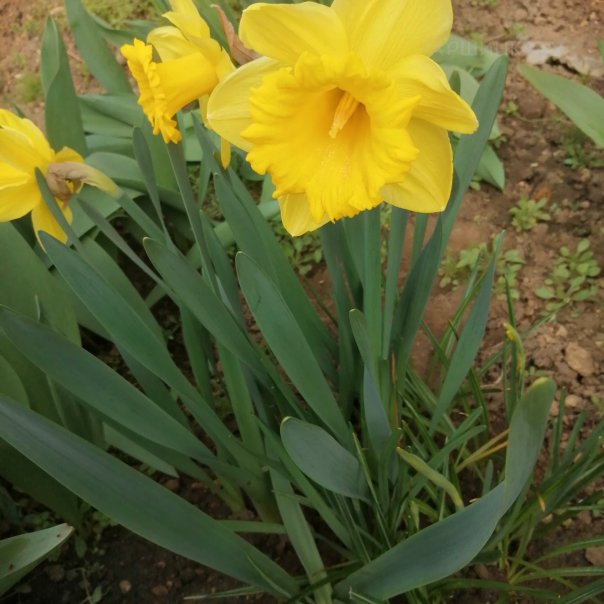 превью изображения отзыва