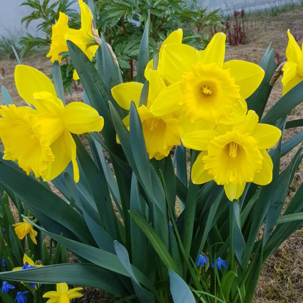 превью изображения отзыва