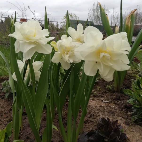 превью изображения отзыва