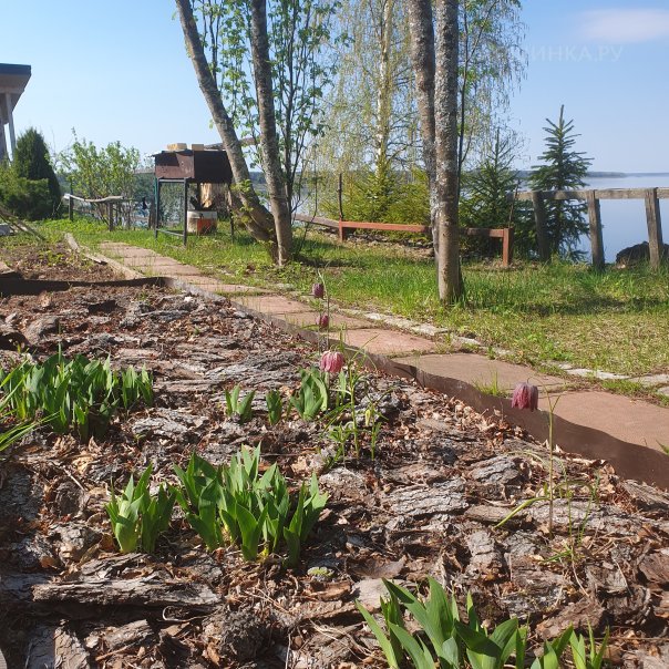 превью изображения отзыва