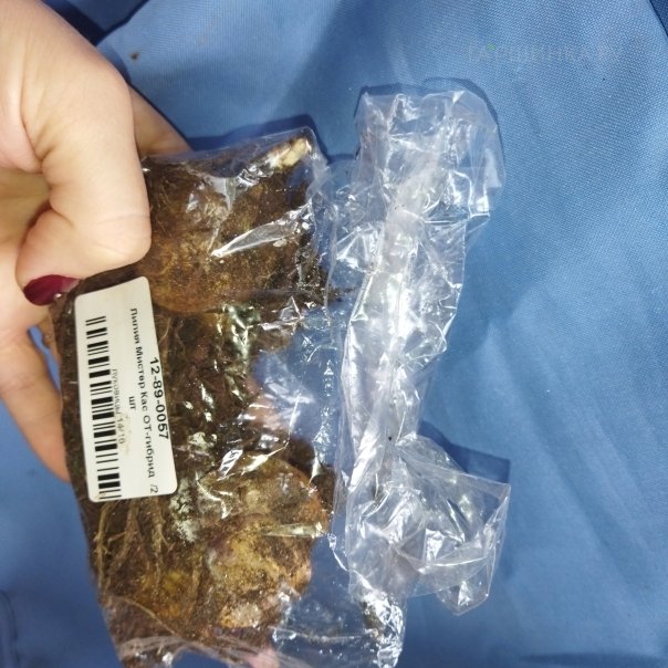 превью изображения отзыва