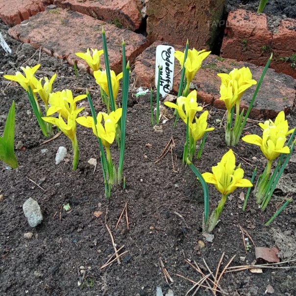 превью изображения отзыва