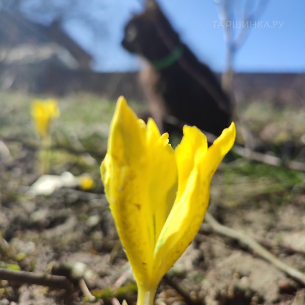 превью изображения отзыва