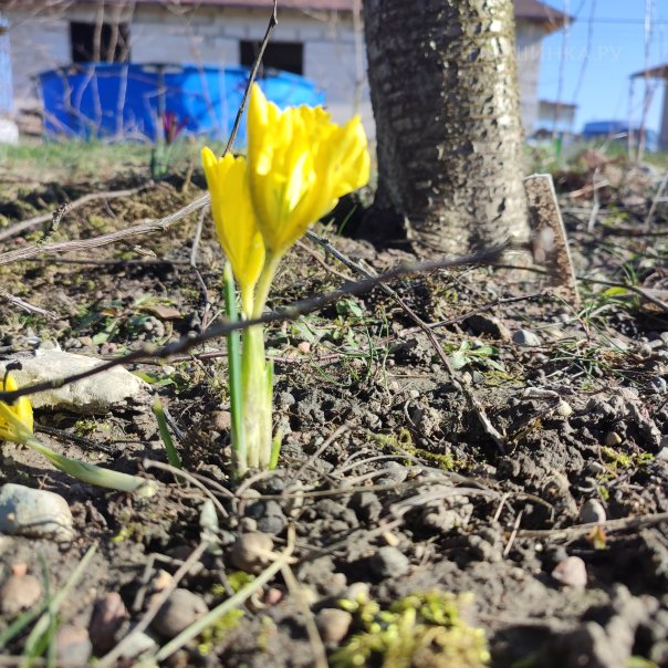 превью изображения отзыва