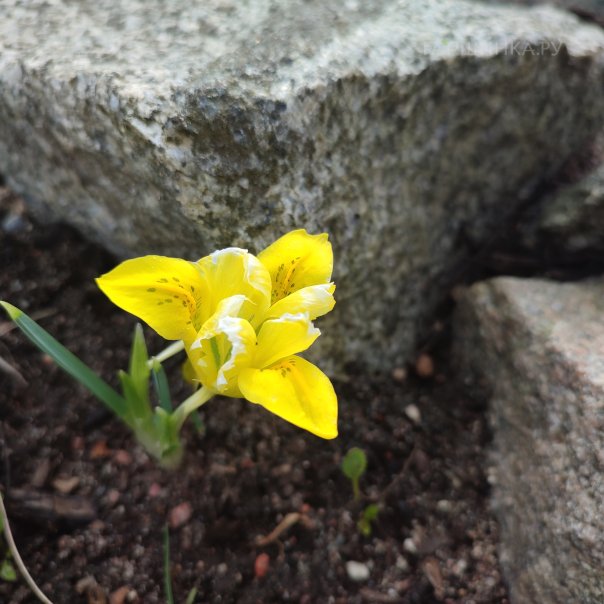 превью изображения отзыва