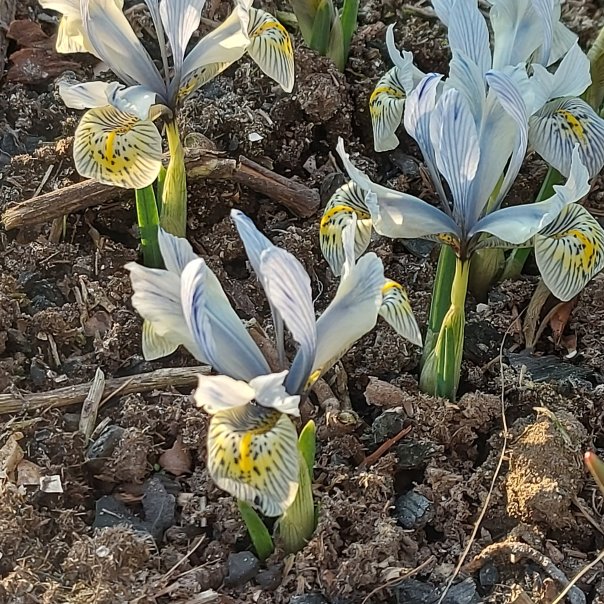 превью изображения отзыва