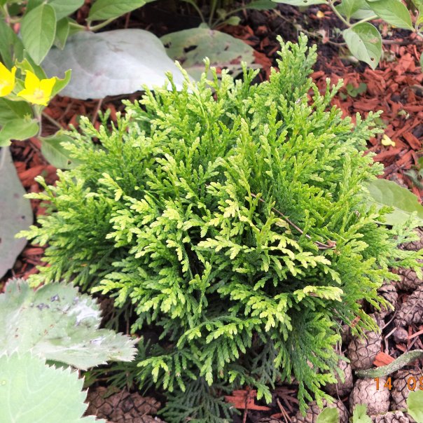 превью изображения отзыва