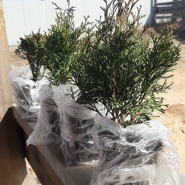 превью изображения отзыва