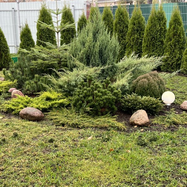 превью изображения отзыва