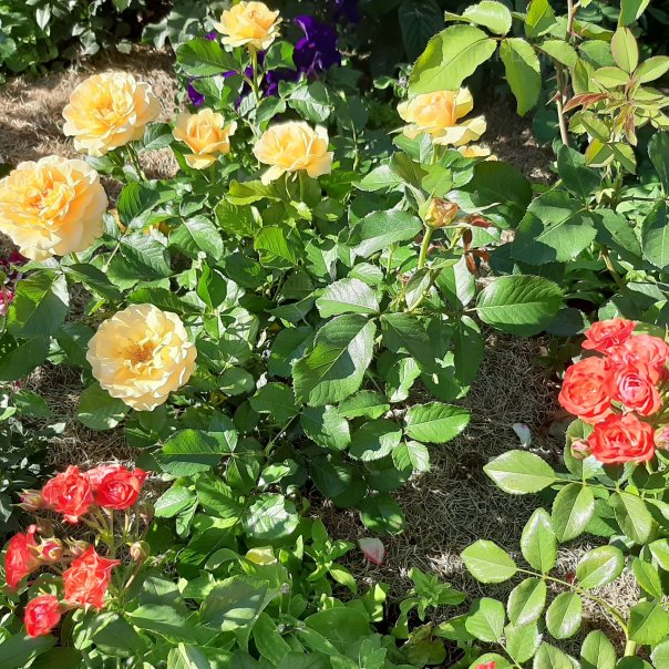 превью изображения отзыва