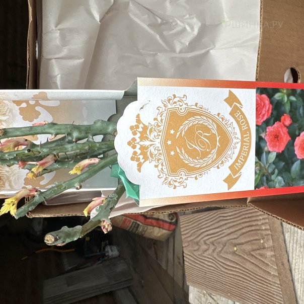 превью изображения отзыва