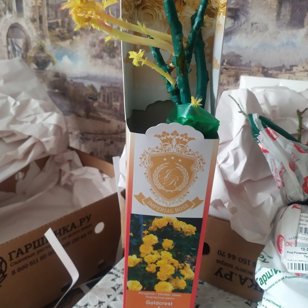 превью изображения отзыва