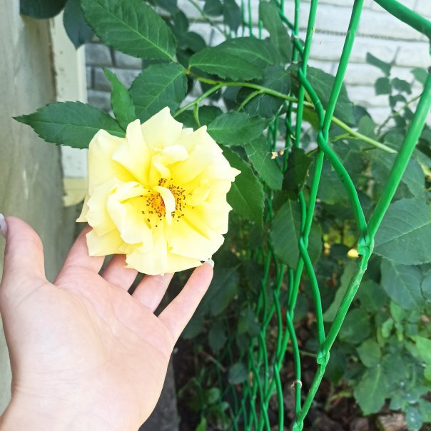 превью изображения отзыва