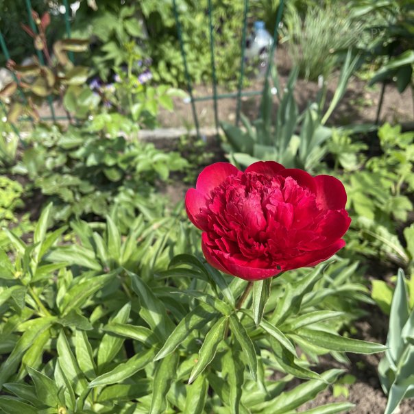 превью изображения отзыва