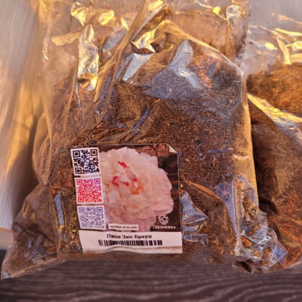 превью изображения отзыва