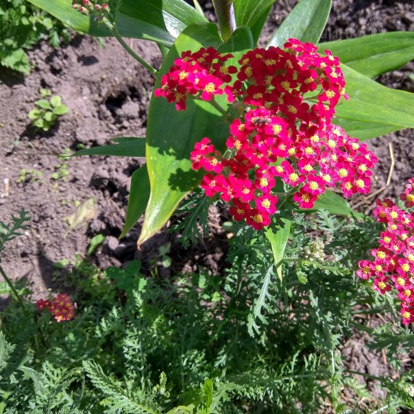 превью изображения отзыва