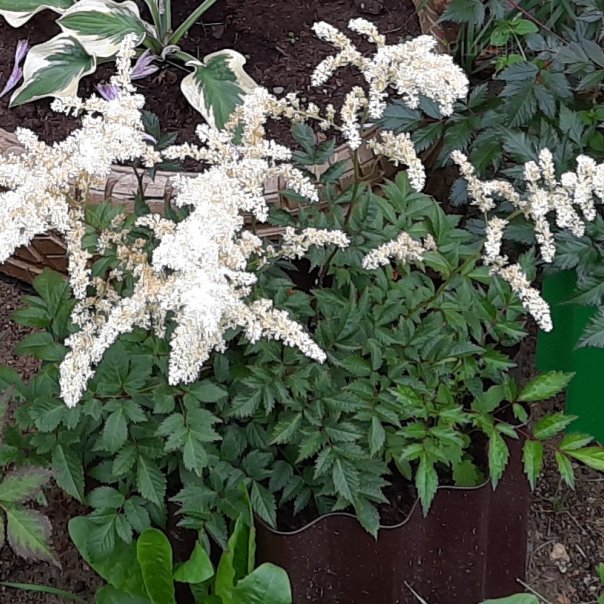 превью изображения отзыва