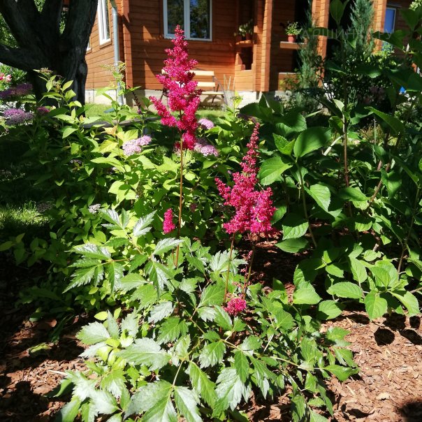 превью изображения отзыва