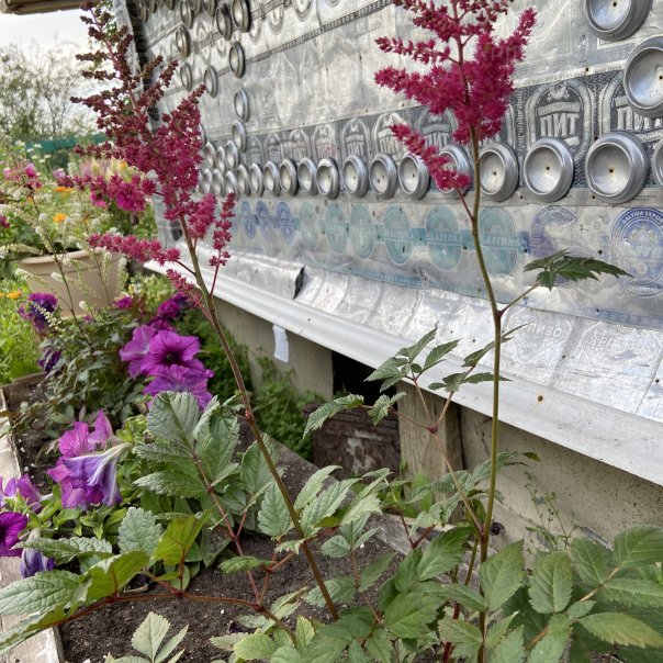 превью изображения отзыва