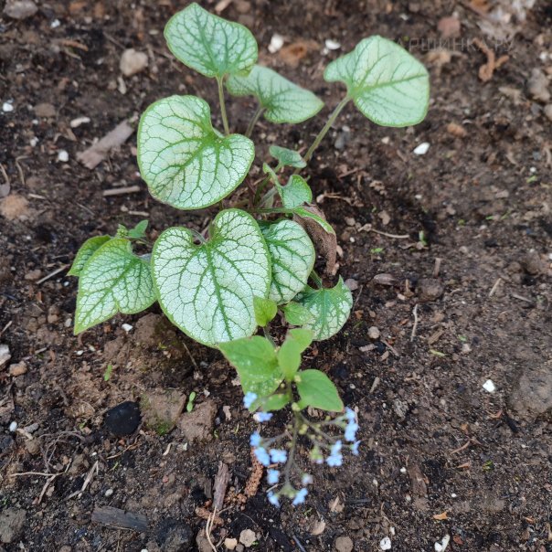 превью изображения отзыва