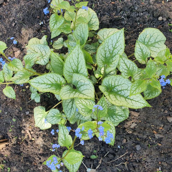 превью изображения отзыва