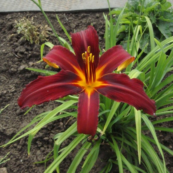 превью изображения отзыва