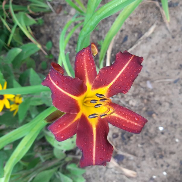 превью изображения отзыва