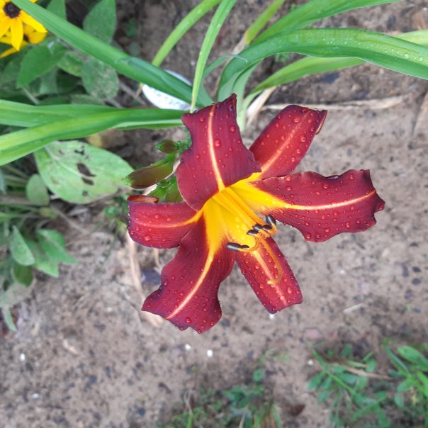 превью изображения отзыва