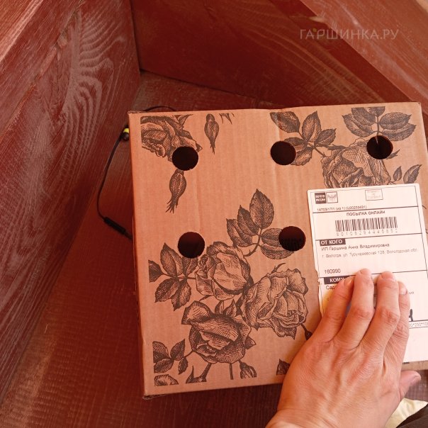 превью изображения отзыва