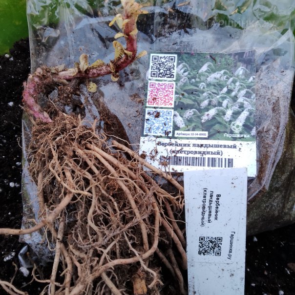 превью изображения отзыва