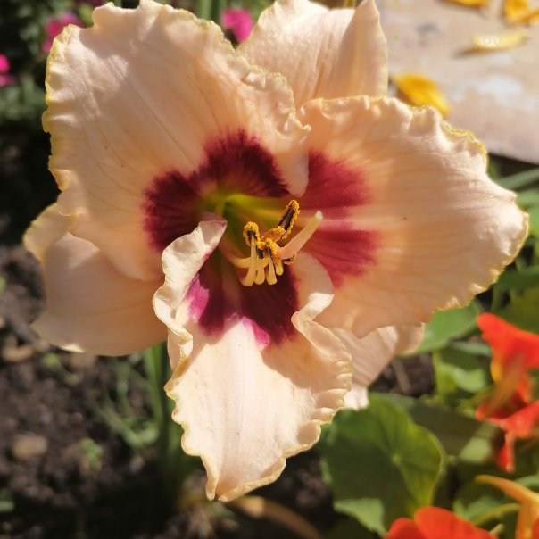 превью изображения отзыва