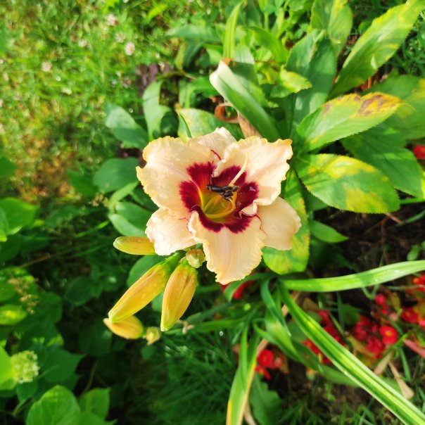 превью изображения отзыва