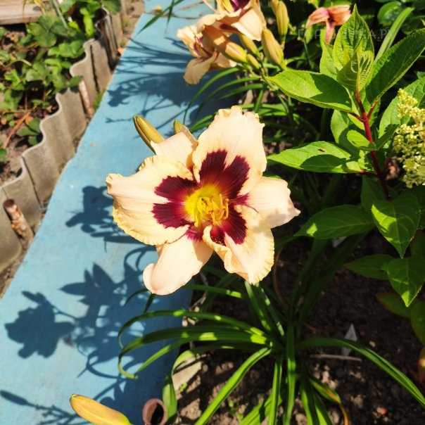 превью изображения отзыва