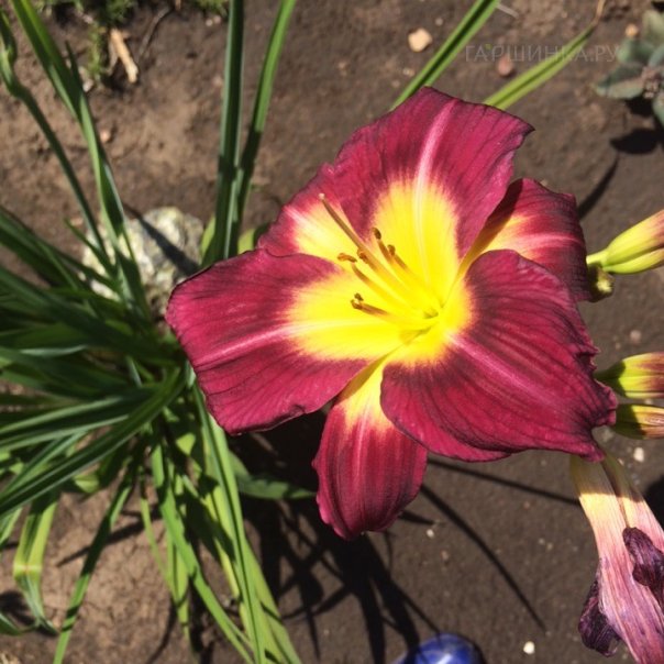 превью изображения отзыва