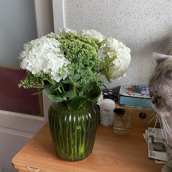 превью изображения отзыва