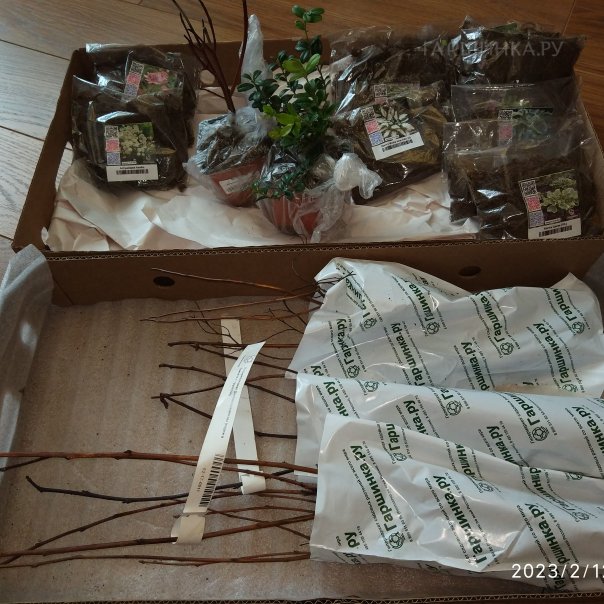 превью изображения отзыва