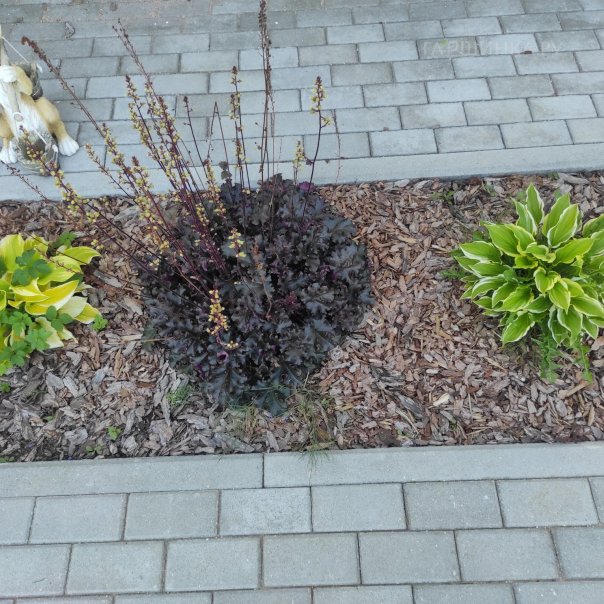 превью изображения отзыва