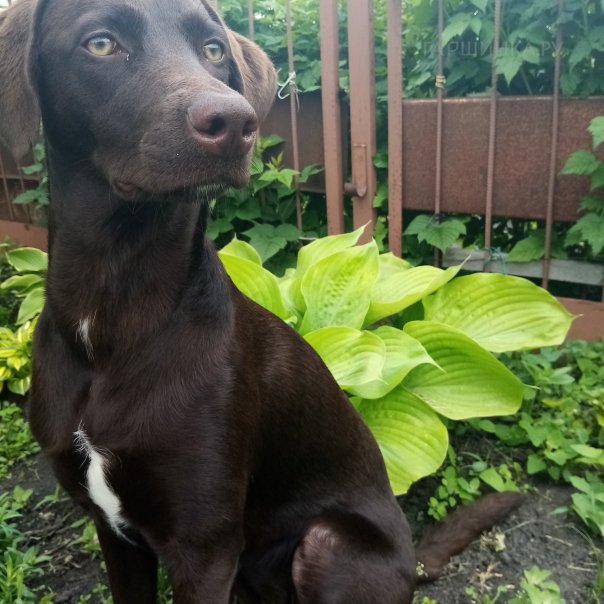 превью изображения отзыва