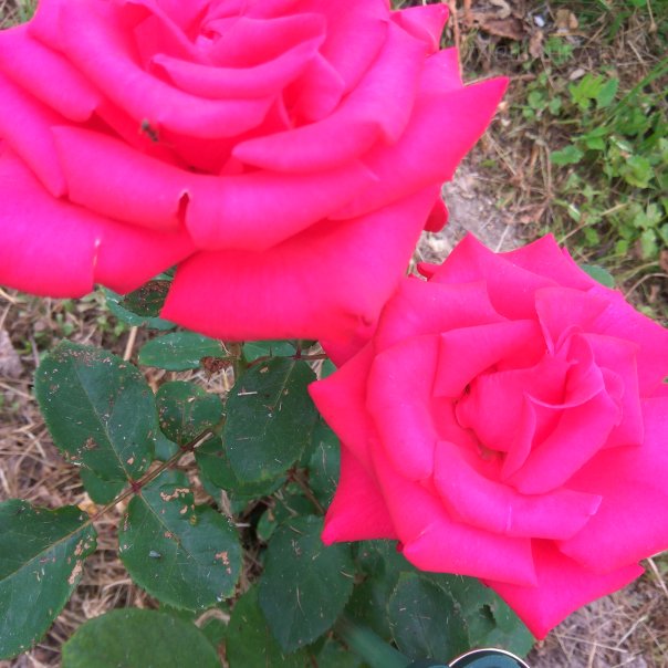 превью изображения отзыва