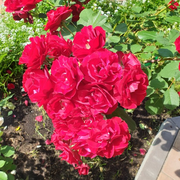 превью изображения отзыва