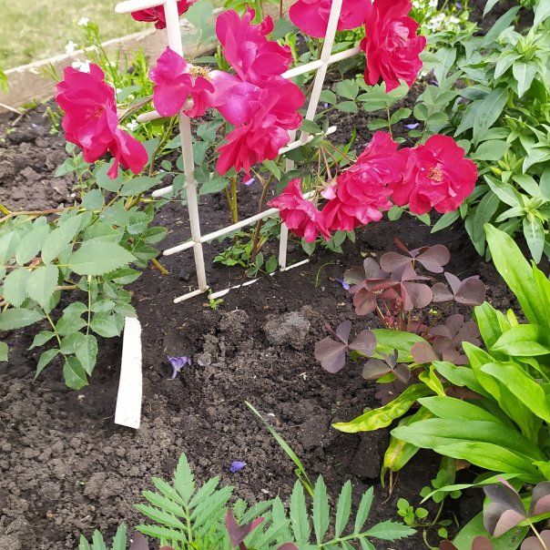 превью изображения отзыва