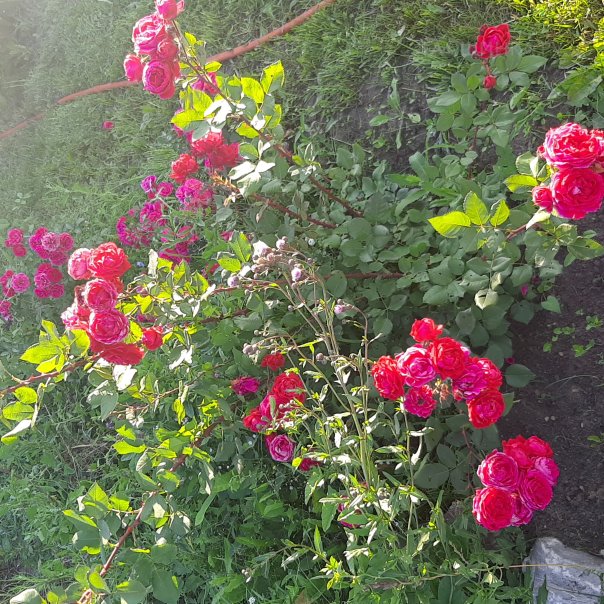 превью изображения отзыва