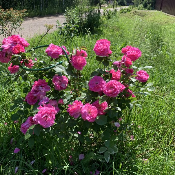 превью изображения отзыва