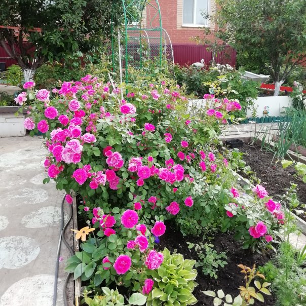 превью изображения отзыва