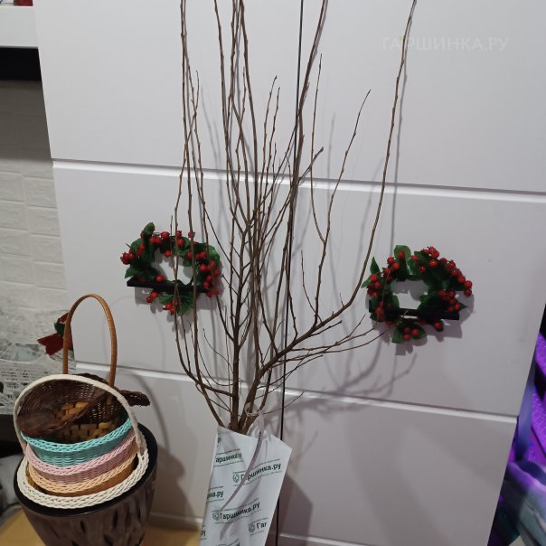 превью изображения отзыва